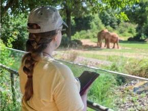 An LR student studying elephants at the North Carolina Zoo